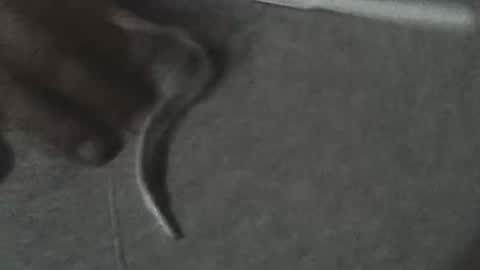 fonixxx69 online show from 22, 3, 2026