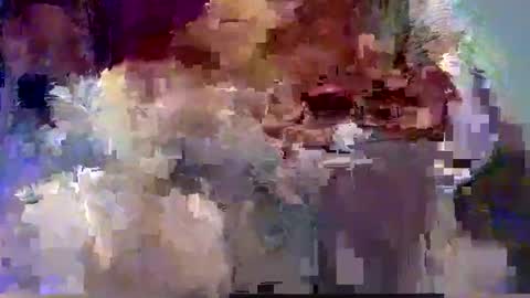 forest133 online show from 12, 12, 2024