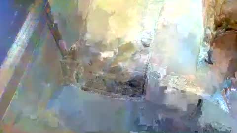 Snapshot of forest133 chatting on 5, 1, 2025 forest133 online show from 5, 1, 2025