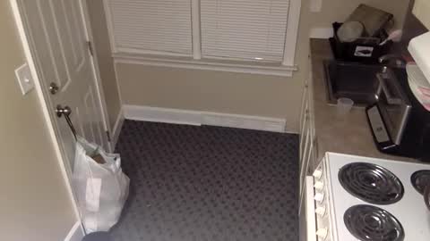 foxdarling96 online show from 20, 12, 2025