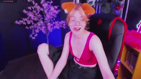 Polly online show from 28, 6, 2026