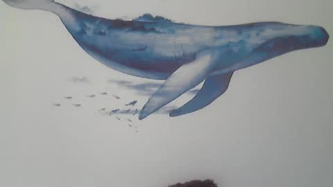 foyett online show from 16, 3, 2026