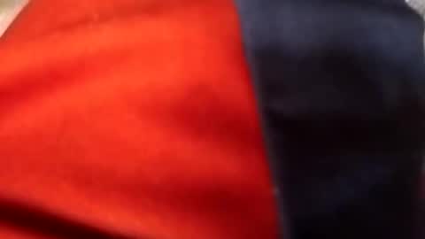 francis158915 online show from 11, 9, 2025