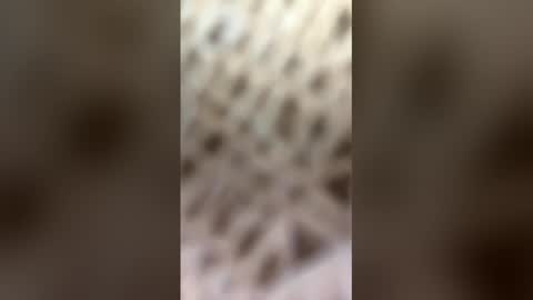 fransicus1988 online show from 19, 3, 2026