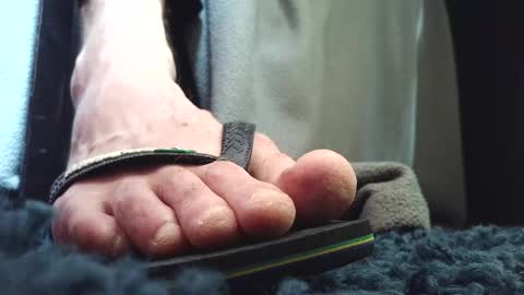 Greedy Fred online show from 8, 3, 2026