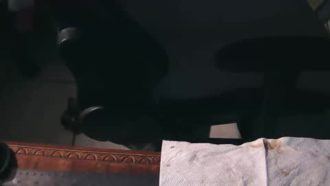 freetryal online show from 21, 11, 2025