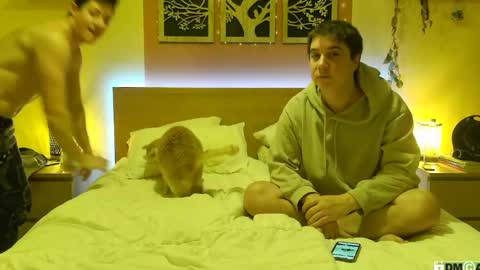 Snapshot of frenchhornybibs chatting on 26, 1, 2025 French Horny Bibs online show from 26, 1, 2025