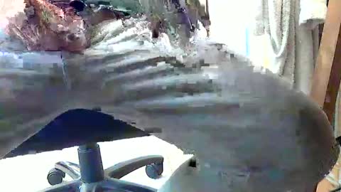 Snapshot of frenchpapalover chatting on 28, 2, 2025 frenchpapalover online show from 28, 2, 2025