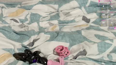 Snapshot of frenulumsnap chatting on 27, 2, 2025 Meadow online show from 27, 2, 2025