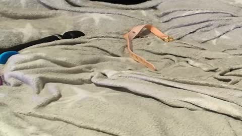 Snapshot of frenulumsnap chatting on 9, 9, 2025 Meadow online show from 9, 9, 2025