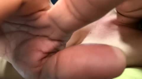 carolina online show from 9, 2, 2026