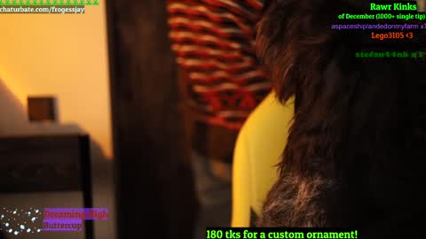   Jaywise Frogfoot  online show from 26, 12, 2024