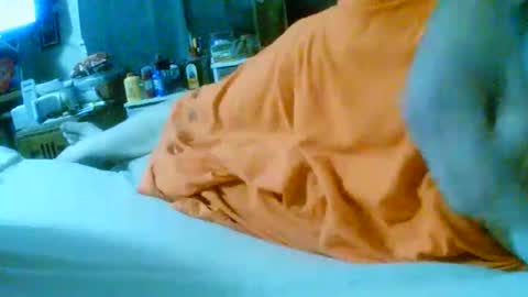 fultonstreet196860 online show from 24, 11, 2025