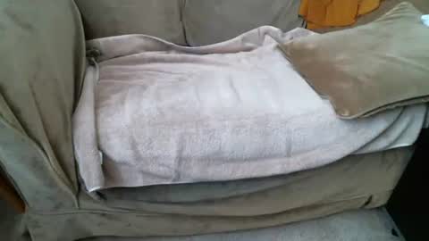 funlovinchub online show from 8, 2, 2026