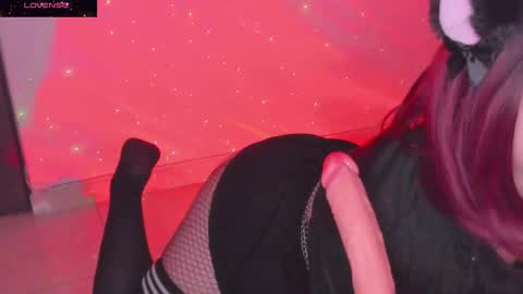 PROXIMO SHOW NOVIEMBRE 16   NEXT SHOW NOVEMBER  16    online show from 6, 1, 2025