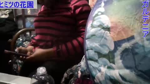 Gardenia online show from 6, 1, 2025