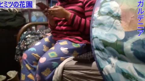 Gardenia online show from 7, 1, 2025