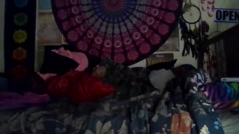 Gardenia online show from 15, 2, 2026