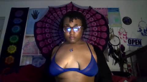 Gardenia online show from 15, 3, 2026