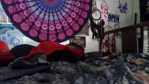 Gardenia online show from 4, 4, 2026