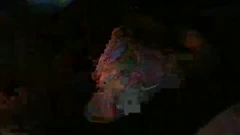 gardnseed online show from 3, 4, 2026