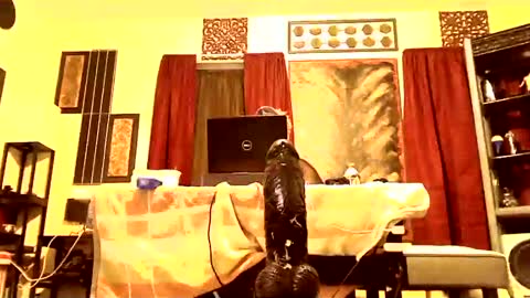 gatewaylaptop2019 online show from 9, 3, 2025