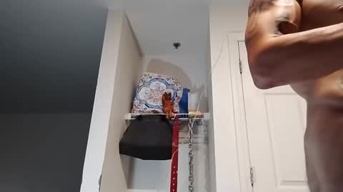 Zanecubano online show from 13, 9, 2025