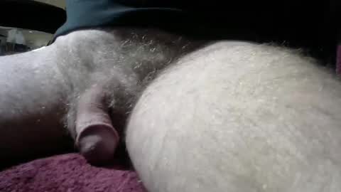 gemini_2 online show from 4, 1, 2025