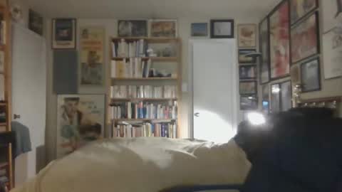 Steve online show from 26, 11, 2025