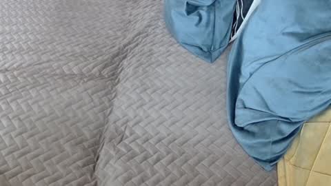 Snapshot of georgiapeachgirl chatting on 17, 2, 2026 Melissa online show from 17, 2, 2026