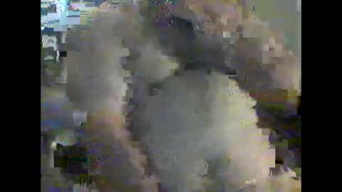 Snapshot of gerabo chatting on 21, 12, 2024 gerabo online show from 21, 12, 2024