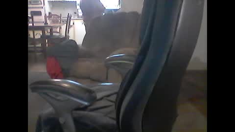 Snapshot of gerabo chatting on 9, 3, 2025 gerabo online show from 9, 3, 2025