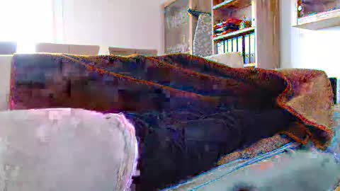 Snapshot of germanandy71 chatting on 29, 12, 2024 germanandy71 online show from 29, 12, 2024