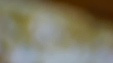 Snapshot of germanandy71 chatting on 3, 11, 2025 germanandy71 online show from 3, 11, 2025