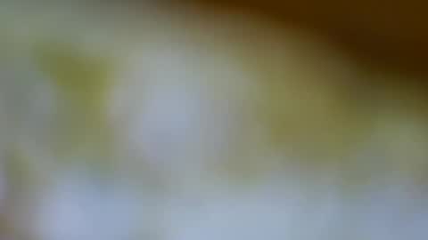 Snapshot of germanandy71 chatting on 17, 11, 2025 germanandy71 online show from 17, 11, 2025