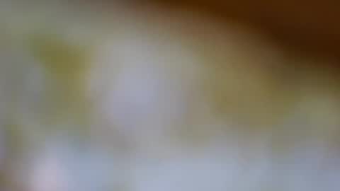 Snapshot of germanandy71 chatting on 20, 11, 2025 germanandy71 online show from 20, 11, 2025