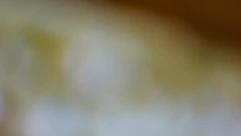 Snapshot of germanandy71 chatting on 26, 11, 2025 germanandy71 online show from 26, 11, 2025