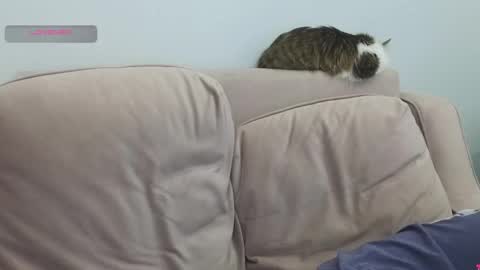 Gerta online show from 8, 3, 2026