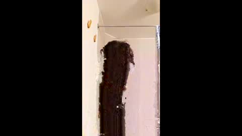 Snapshot of ggggu495826 chatting on 10, 2, 2026 ggggu495826 online show from 10, 2, 2026