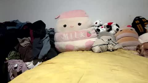 ghastgirlt_t online show from 28, 3, 2026