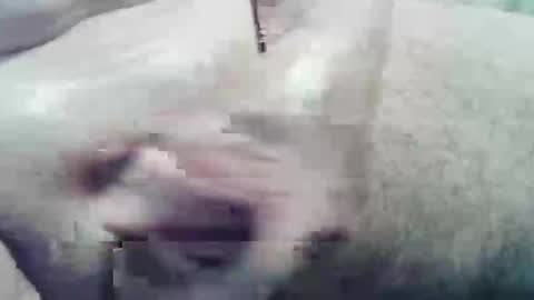 ghost1805 online show from 10, 12, 2024