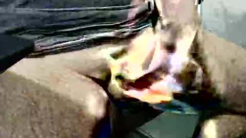 ghost1805 online show from 14, 10, 2025