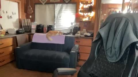 ghostboygbc online show from 26, 11, 2025