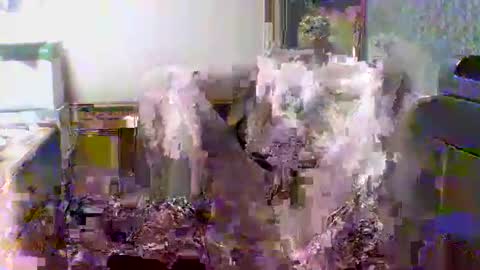 giann005 online show from 24, 3, 2026