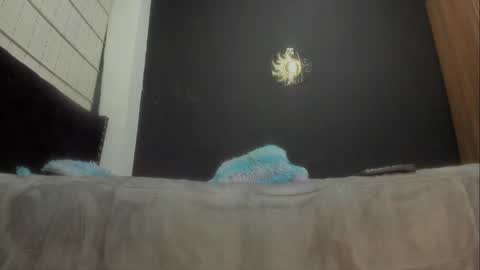 Miss online show from 7, 3, 2025