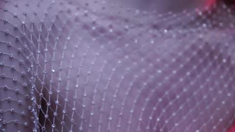        im expecting 350 thumbs up on my altar   online show from 6, 2, 2025