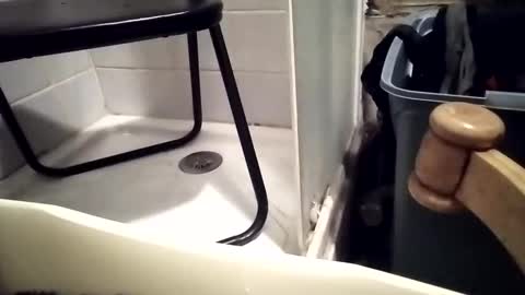 lovegirlscallme online show from 1, 12, 2025