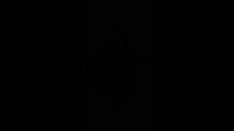 gjpj1 online show from 26, 2, 2026