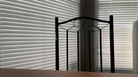 glazehoney online show from 10, 1, 2025