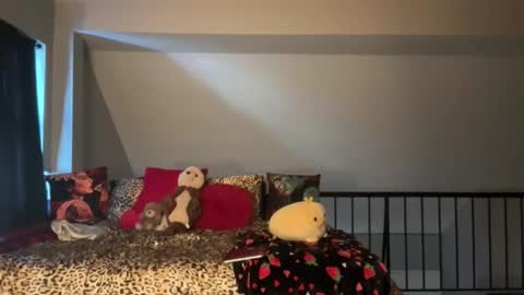 Baby Bimbo online show from 1, 2, 2026